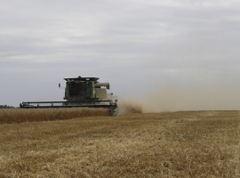 Harvest Support Russia (3)